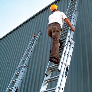 Triple Extension Ladder