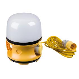 LED 30w Globe Light