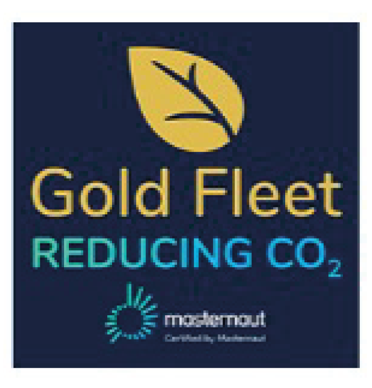 Gold Fleet Badge