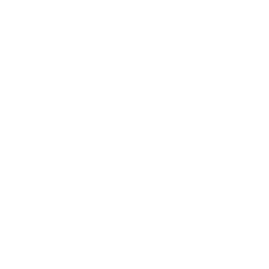 icon-stock-white.png (6 KB)