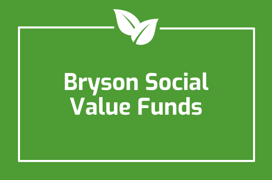 bryson_social_value_fund_2024